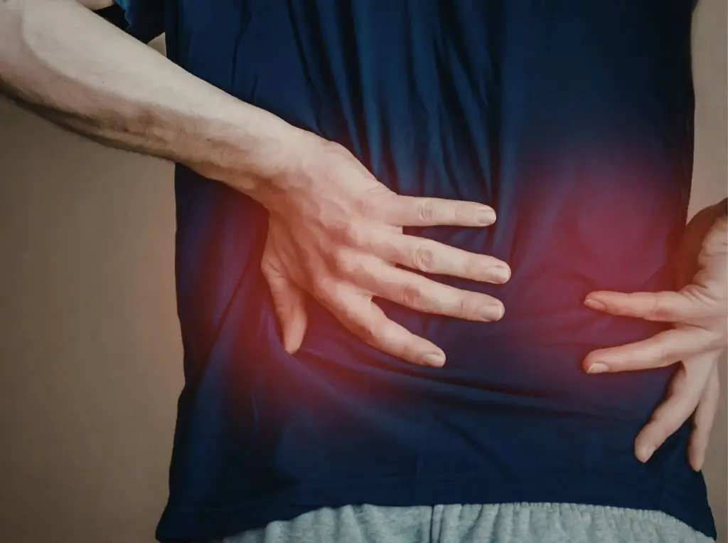 Ruta: Dolor y patología lumbar
