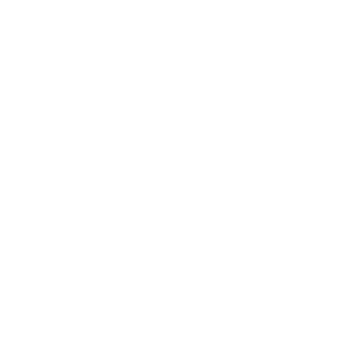LOGO blanco 03