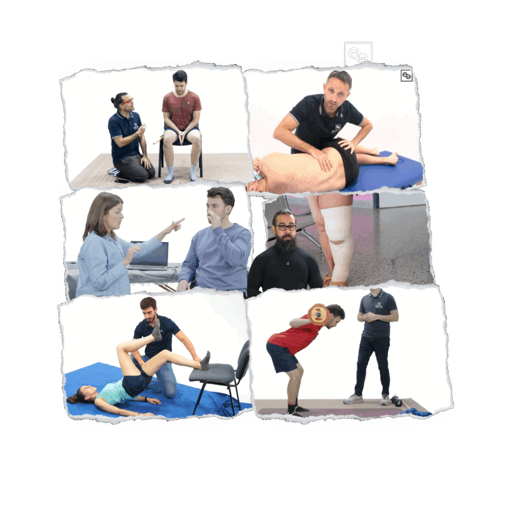 Cursos de fisioterapia presenciales en Madrid - Nuevo 8 Cursos Fisioterapia online